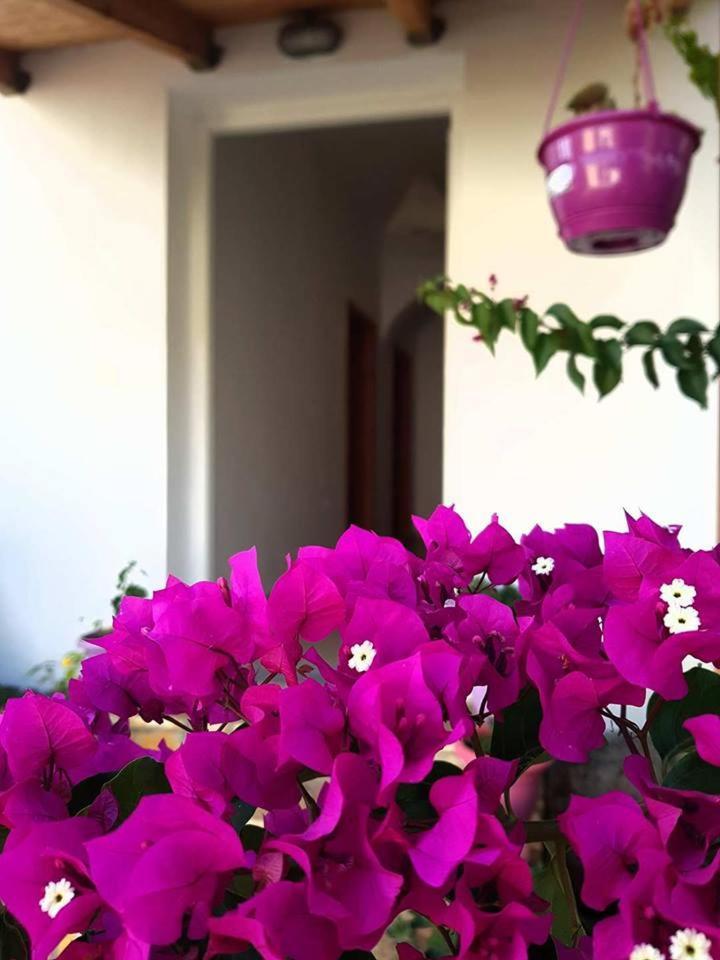 Penelope'S Rooms Dhermi Ngoại thất bức ảnh