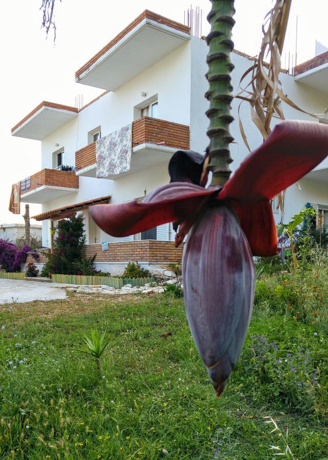 Penelope'S Rooms Dhermi Ngoại thất bức ảnh